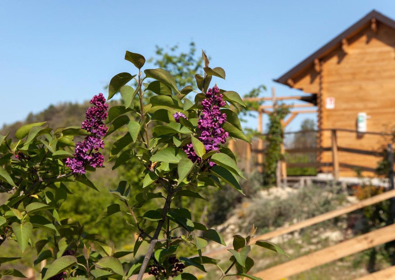 Hotel Pian Del Mund Borgomale Exterior foto